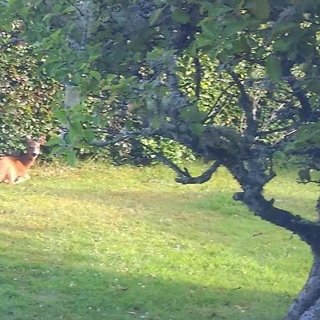 Aquila Retreats Bed and Breakfast Comrie Buitenkant foto