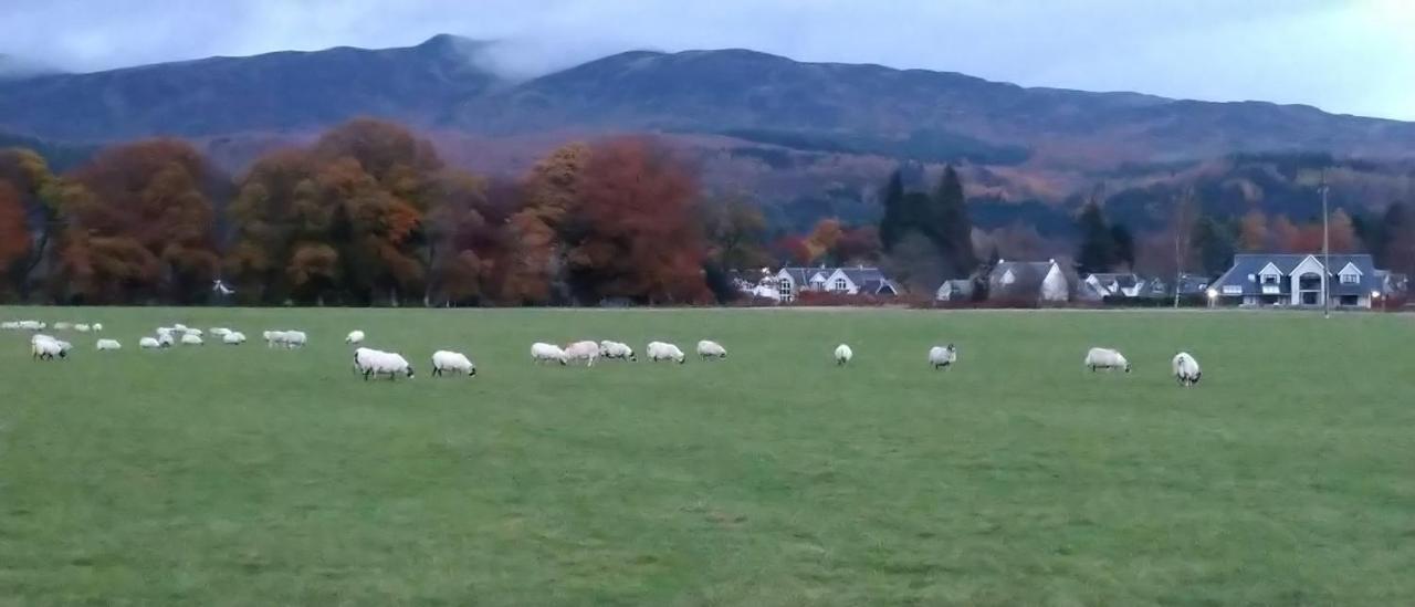 Aquila Retreats Bed and Breakfast Comrie Buitenkant foto