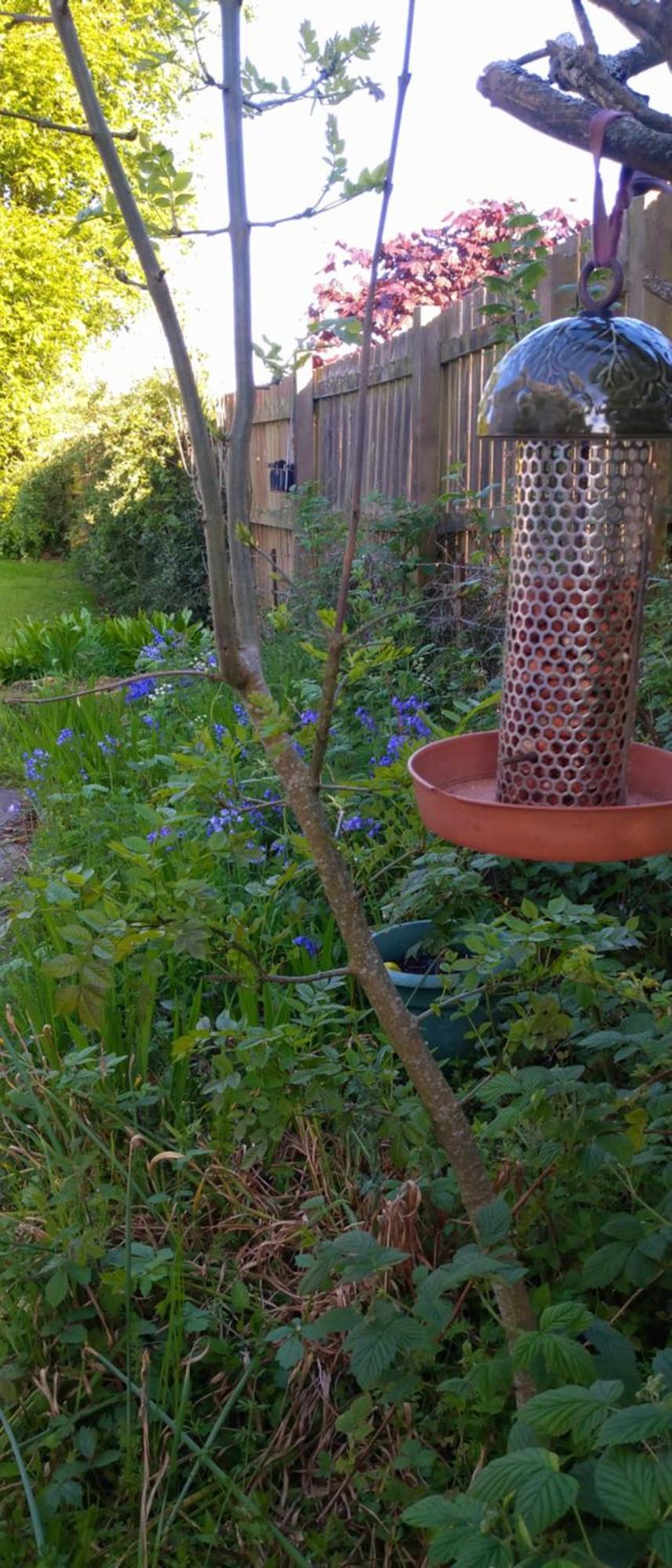 Aquila Retreats Bed and Breakfast Comrie Buitenkant foto